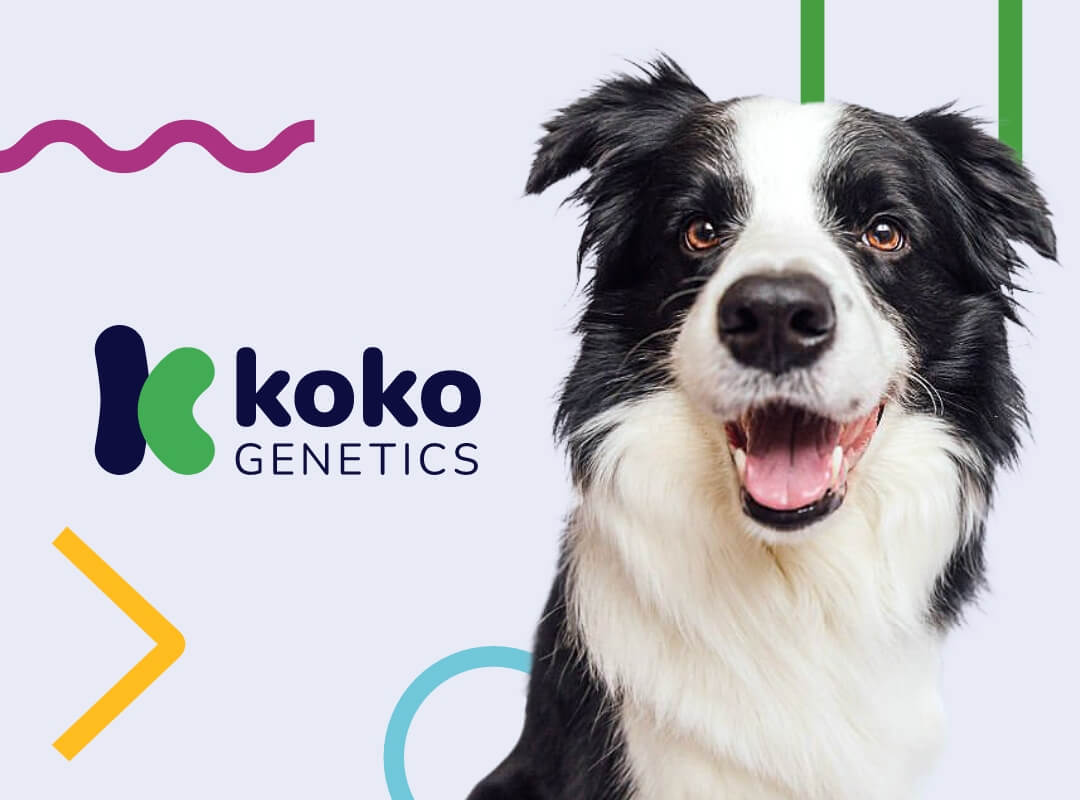 banner Koko Genetics