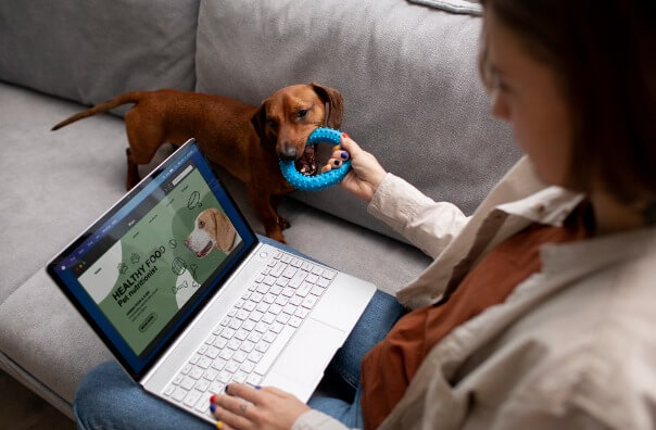 Os dejamos este artículo donde hablamos sobre cómo la digitalización de la salud animal puede ayudar especialmente a tutores que conviven con perros senior que buscan garantizarles una mayor calidad de vida.