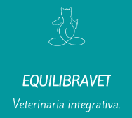 Equilibravet