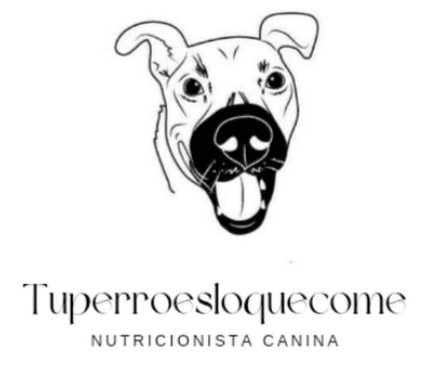 Tu perro es lo que come - nutricionista canina